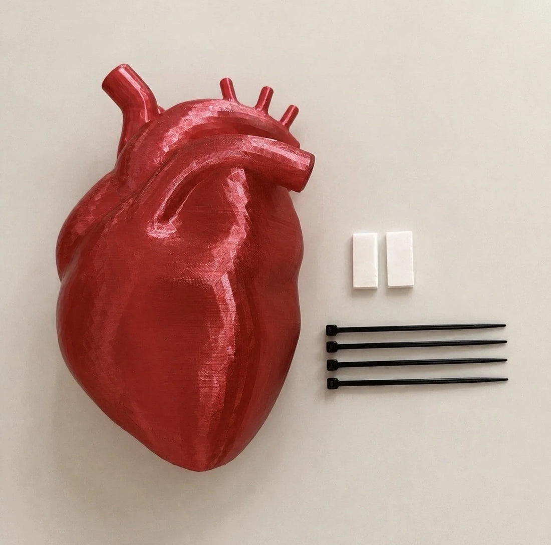 XL illuminated anatomical heart glowing in a Halloween display