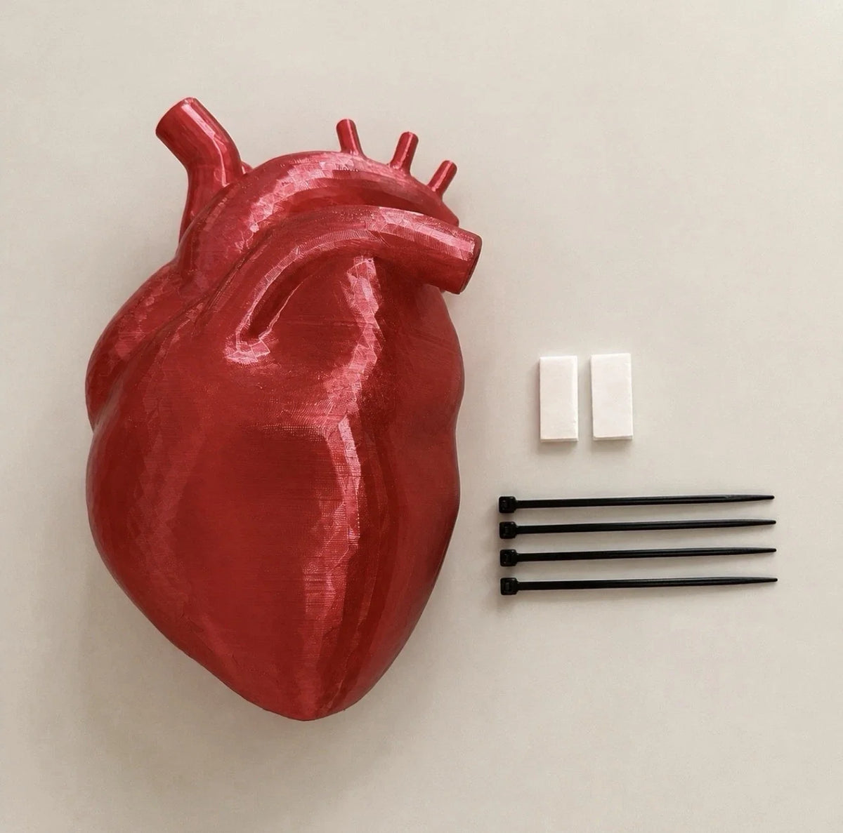 XL illuminated anatomical heart glowing in a Halloween display