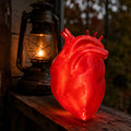Lite compact anatomical glow heart illuminated display